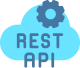 REST APIs